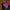 PS of Sweden The Essence Ear Bonnet - Fuchsia Flash