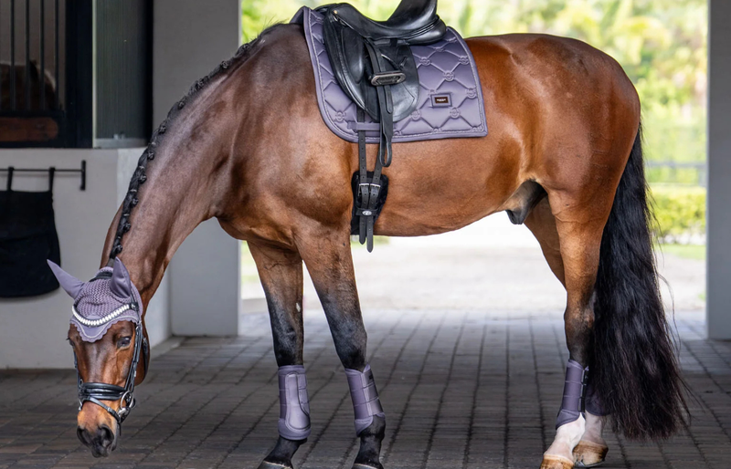 Budget Buys For Horses