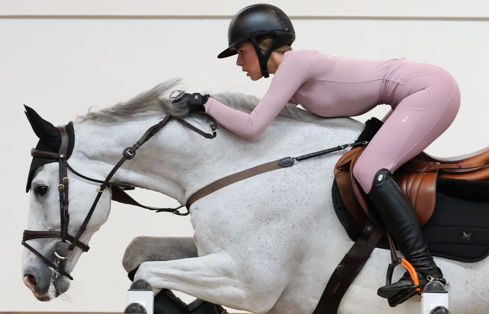 Maximilian Equestrian