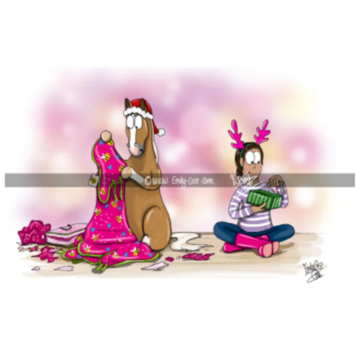 Emily Cole Christmas Greeting Cards -  Pack of 10 cards