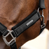 Waldhausen Headcollar & Leadrope Set - Black