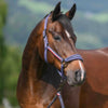 Tommy Hilfiger Yale Headcollar & Leadrope Set - Faded Indigo