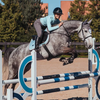 Equestrian Stockholm Jump Pad - Ice Blue Pearl