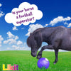 Likit Snak-A-Ball - Purple