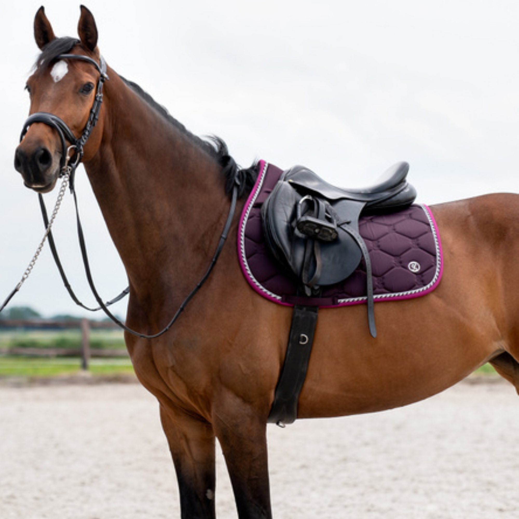 PS of Sweden Jump Pad - Plum