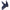 Equestrian Stockholm Ear Bonnet - Dark Venice