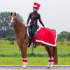 Santa Helmet Cover
