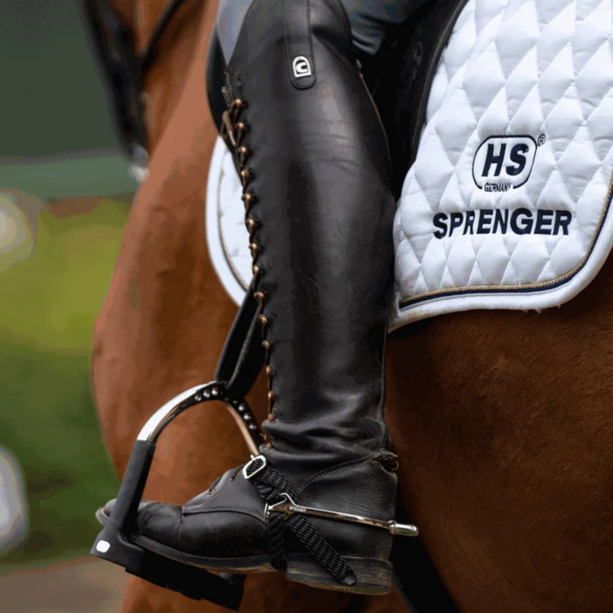 Sprenger Slimline Boot Protect Spurs - Round Neck
