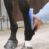 Kentucky Tendon Grip Sock