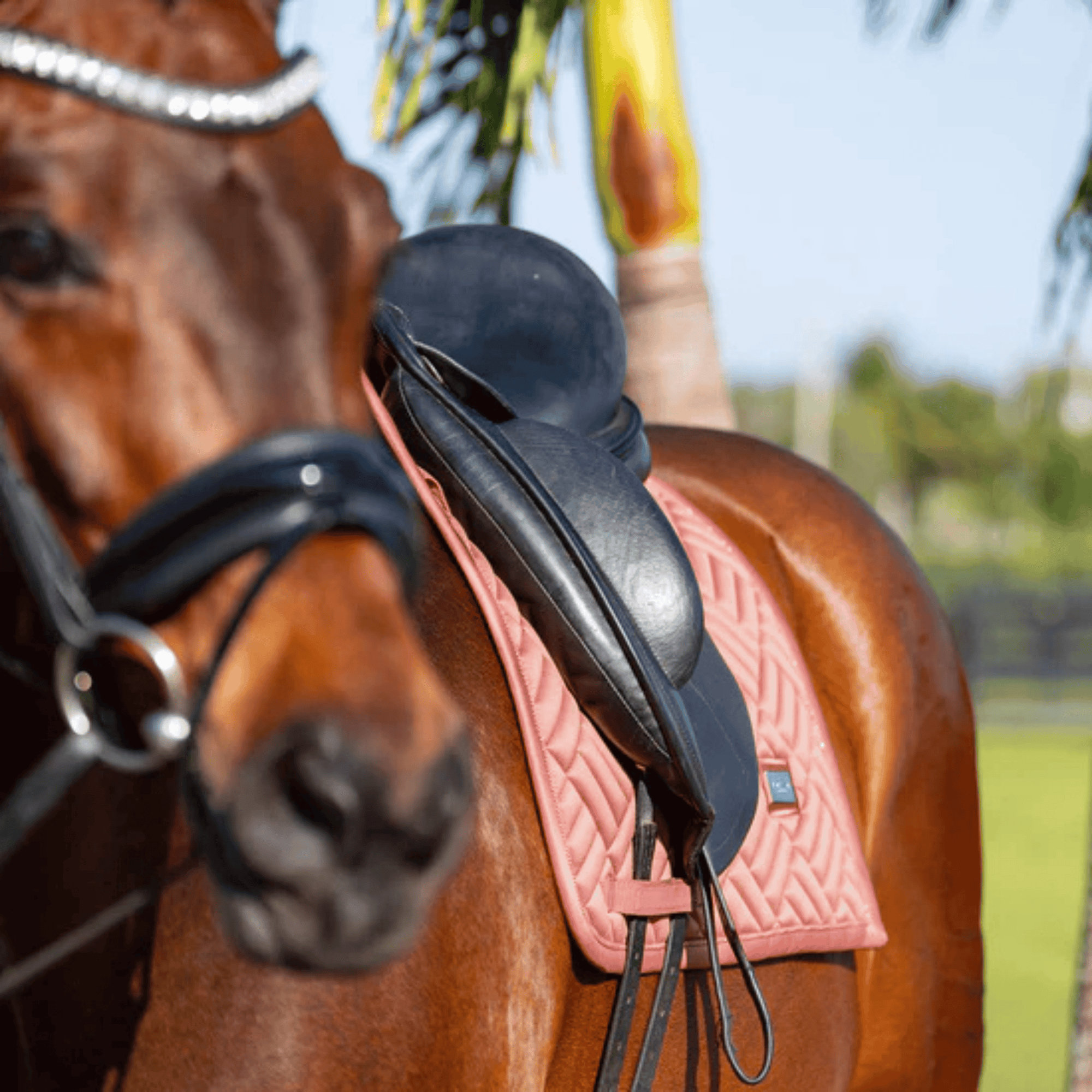 Equestrian Stockholm Jump Pad - Modern Coral