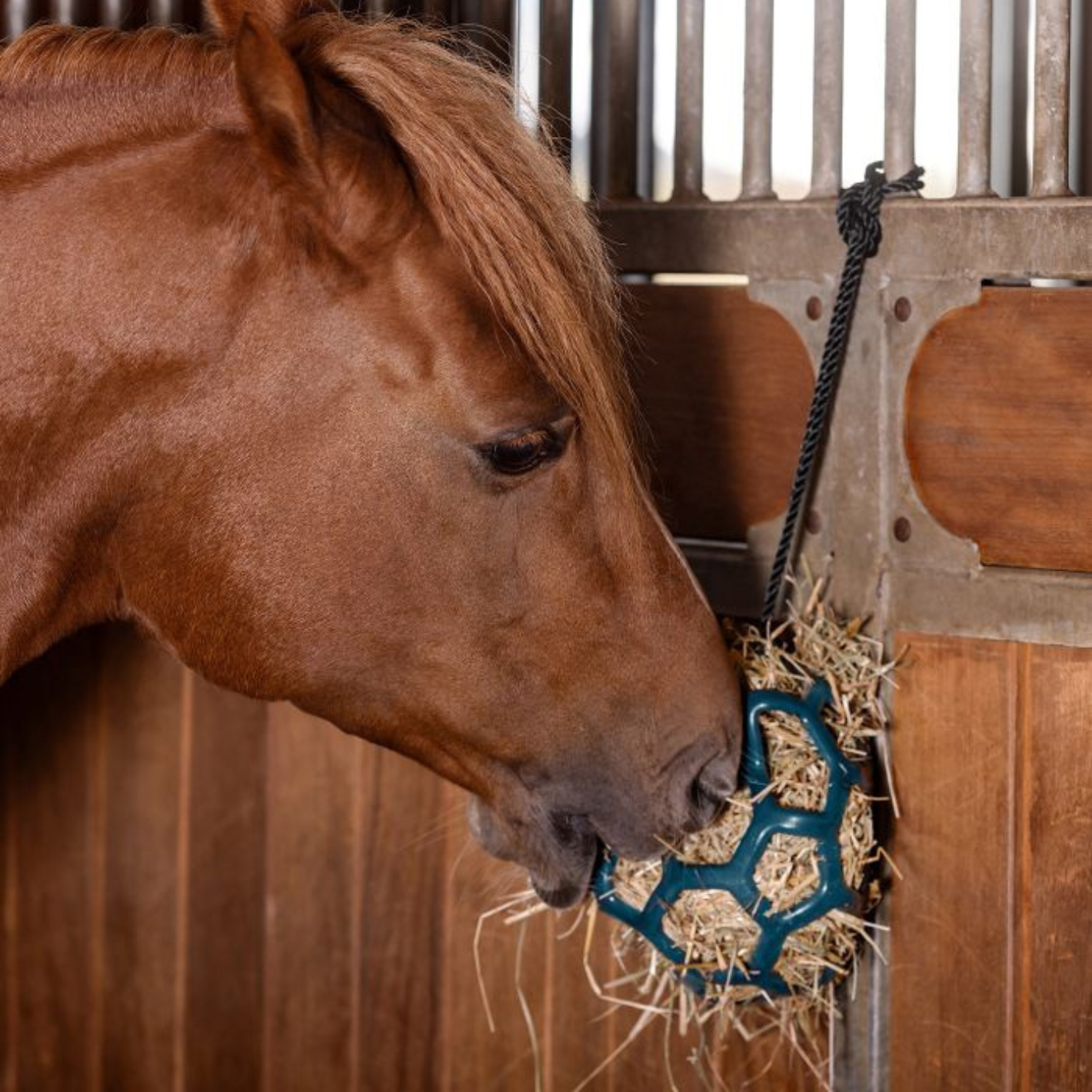 Waldhausen Hay Ball - Petrol