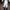 Equestrian Stockholm Tights - White