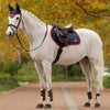 LeMieux Liore Jump Pad - Navy / Cranberry