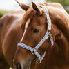 Waldhausen Athletic Headcollar & Leadrope Set - Pastel Blue