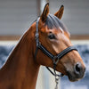 Kingsland Mona Headcollar & Leadrope - Black
