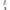 Tommy Hilfiger Mia Breeches - White