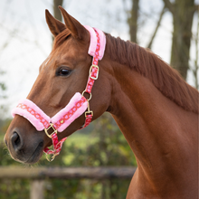 Load image into Gallery viewer, QHP Valentine Headcollar &amp; Leadrope Set
