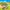 Playmobil Horse Ranch