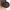 QHP Diamante Hair Net - Black/Brown