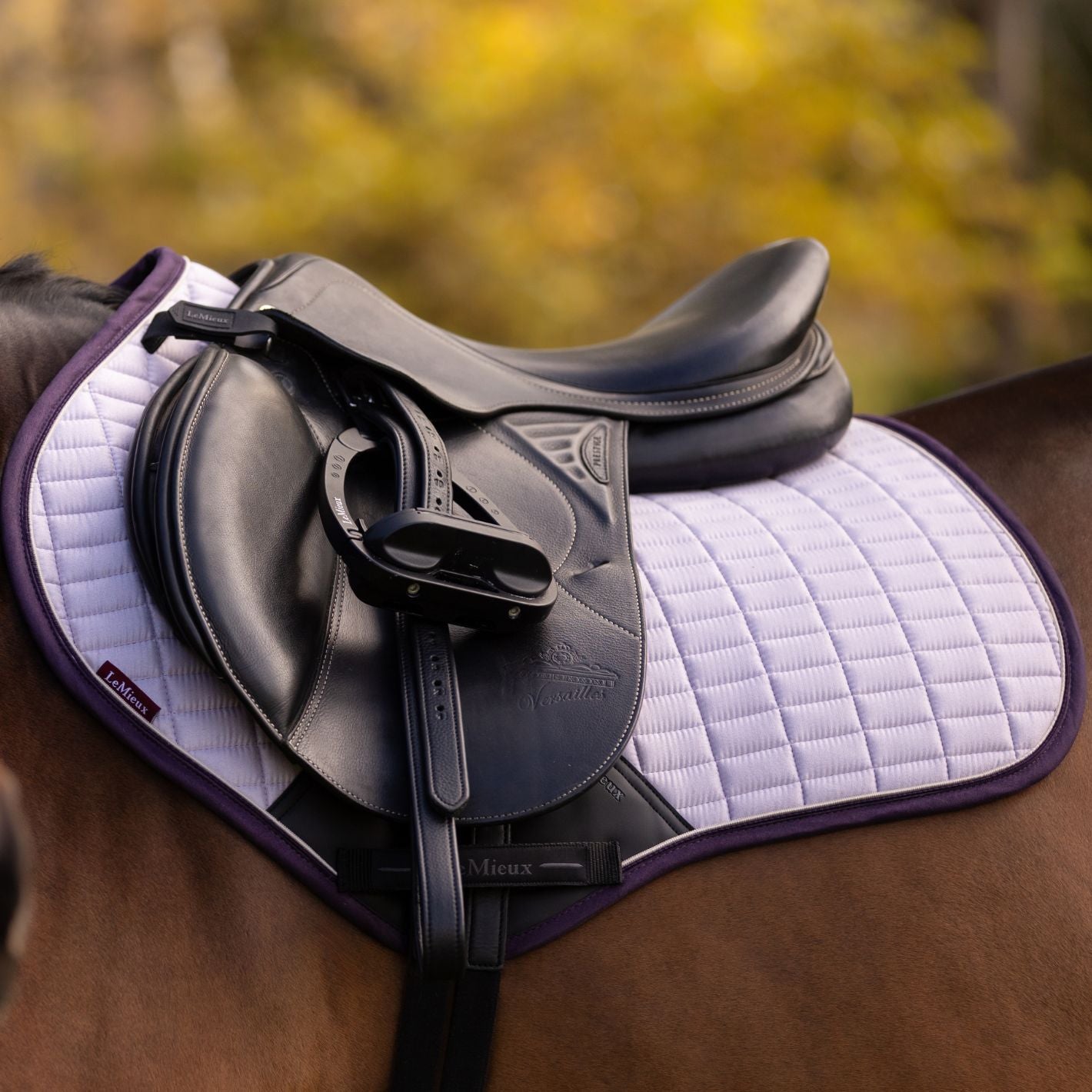 LeMieux Suede Close Contact Jump Pad - Lilac