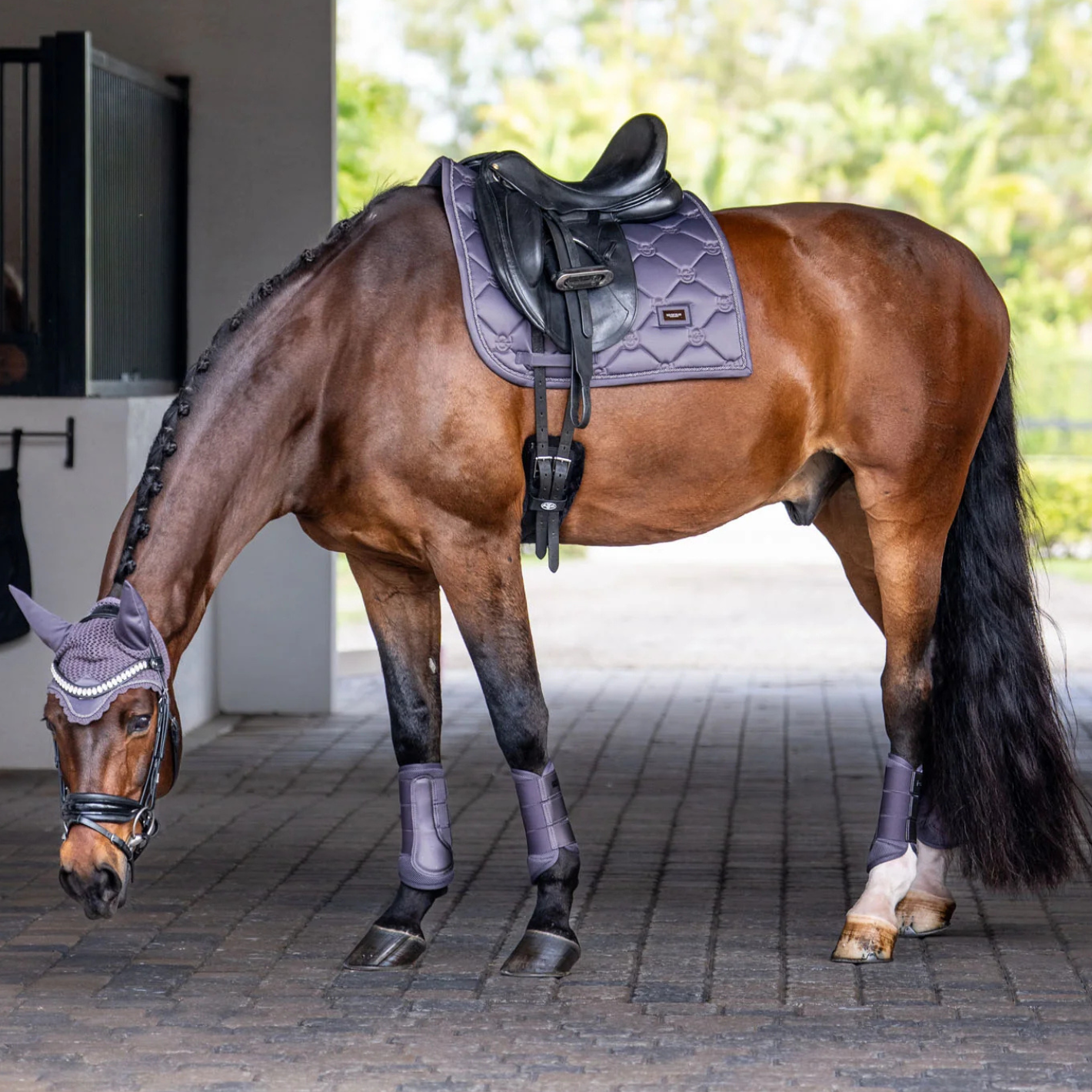 Equestrian Stockholm Ear Bonnet - Dark Violet