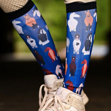 Load image into Gallery viewer, Dreamers &amp; Schemers Boot Socks - Pony Baloney
