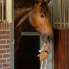 QHP Horse Toy - Christmas Rudolph