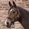Waldhausen Headcollar & Leadrope Set - Espresso