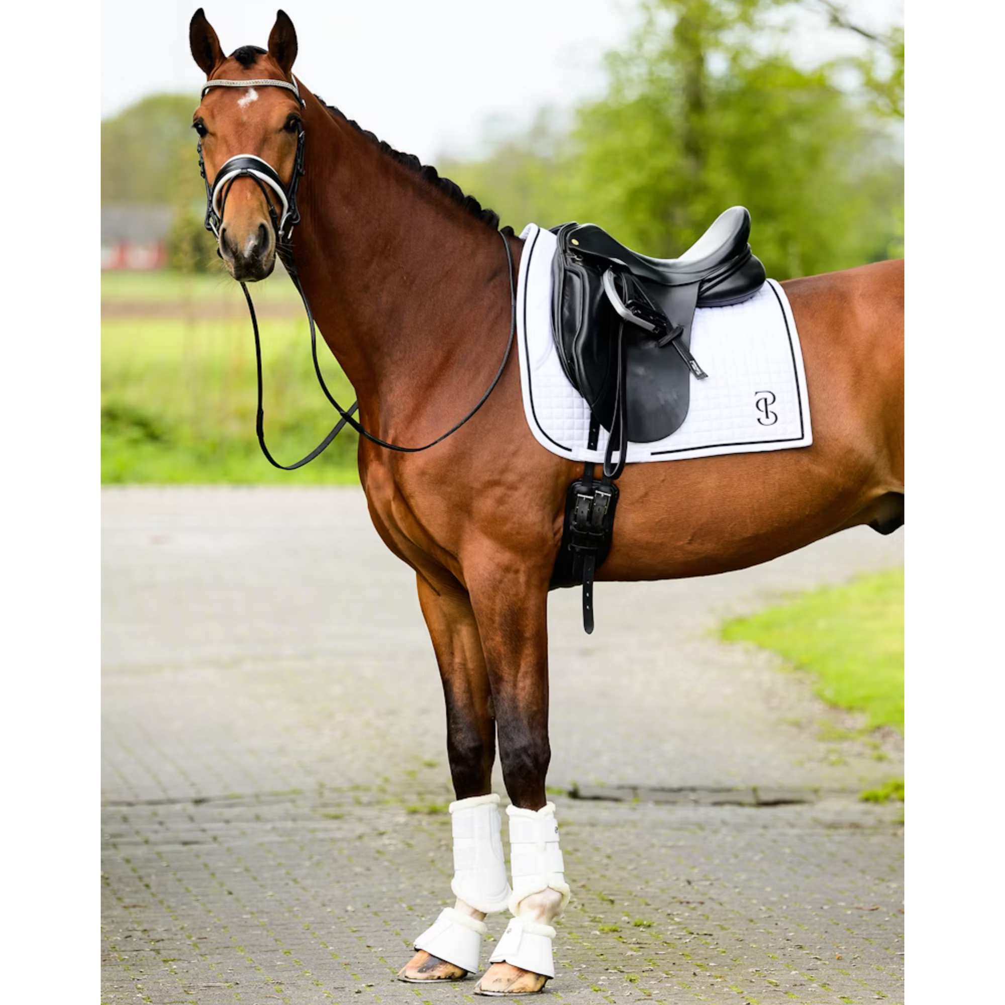 PS of Sweden Dressage Pad Elite - White