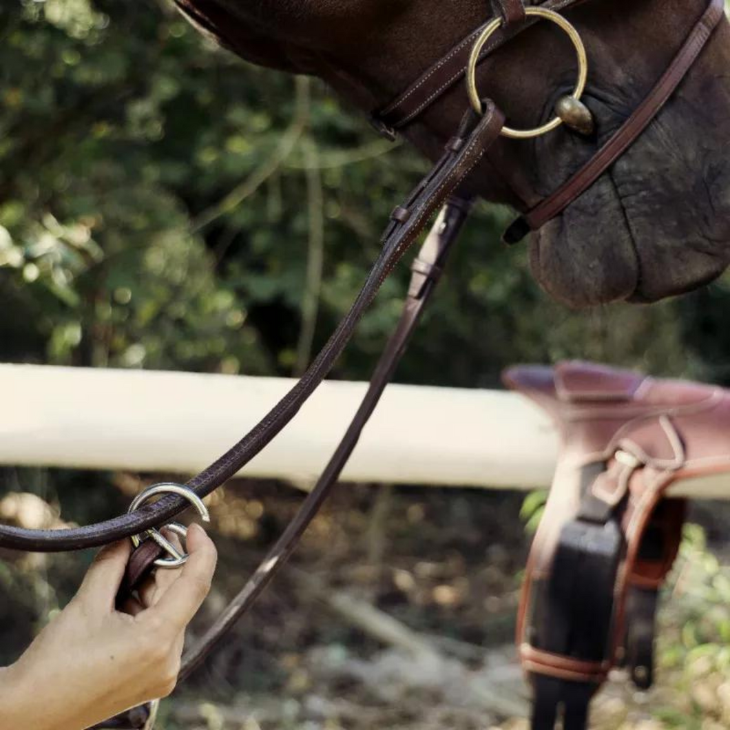 CWD Raised Adjustable Bridge Breastplate - Brown