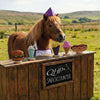 QHP Horse Toy - Hot Dog