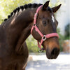 LeMieux Essence Headcollar & Leadrope Set - Rosewood