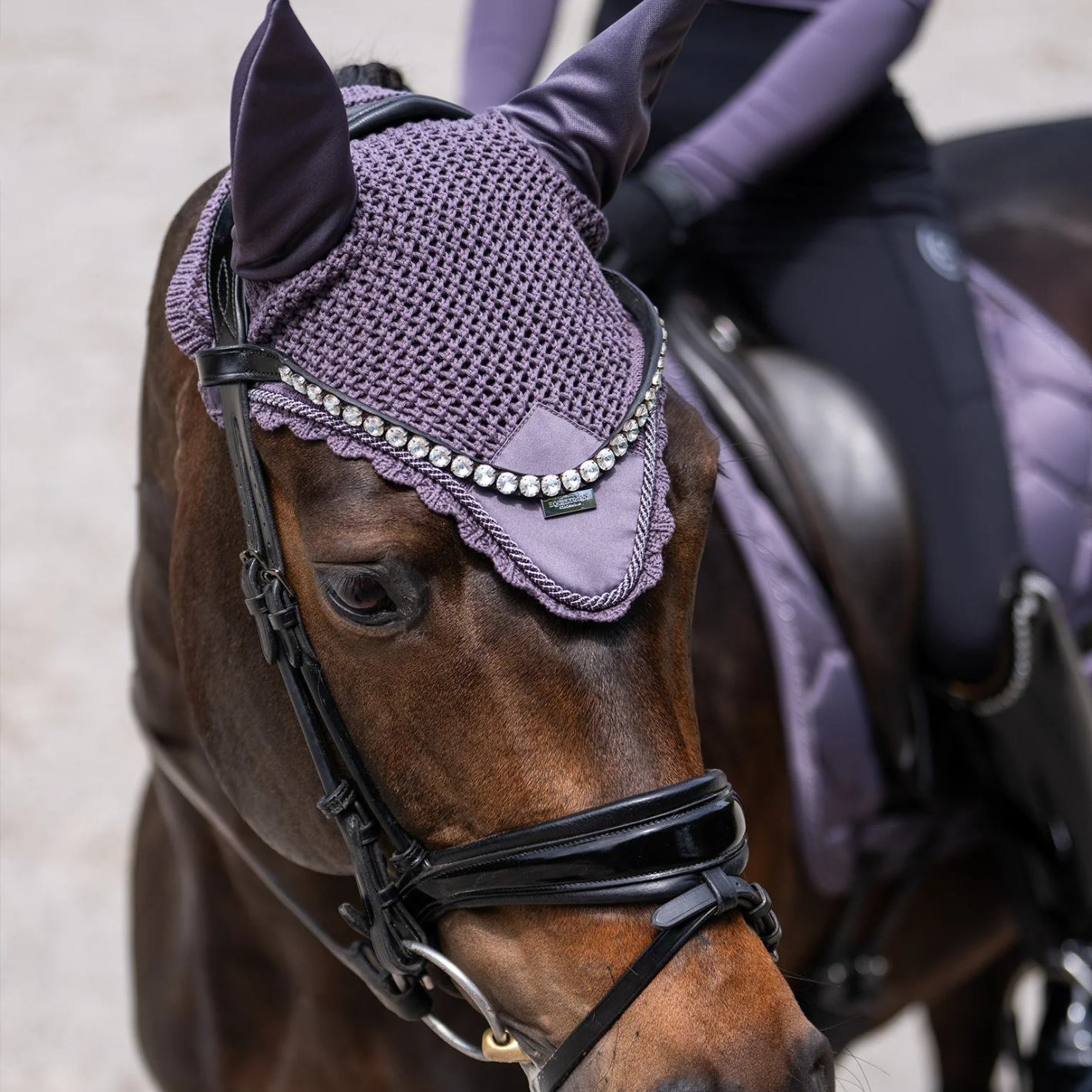 Equestrian Stockholm Ear Bonnet - Dark Violet