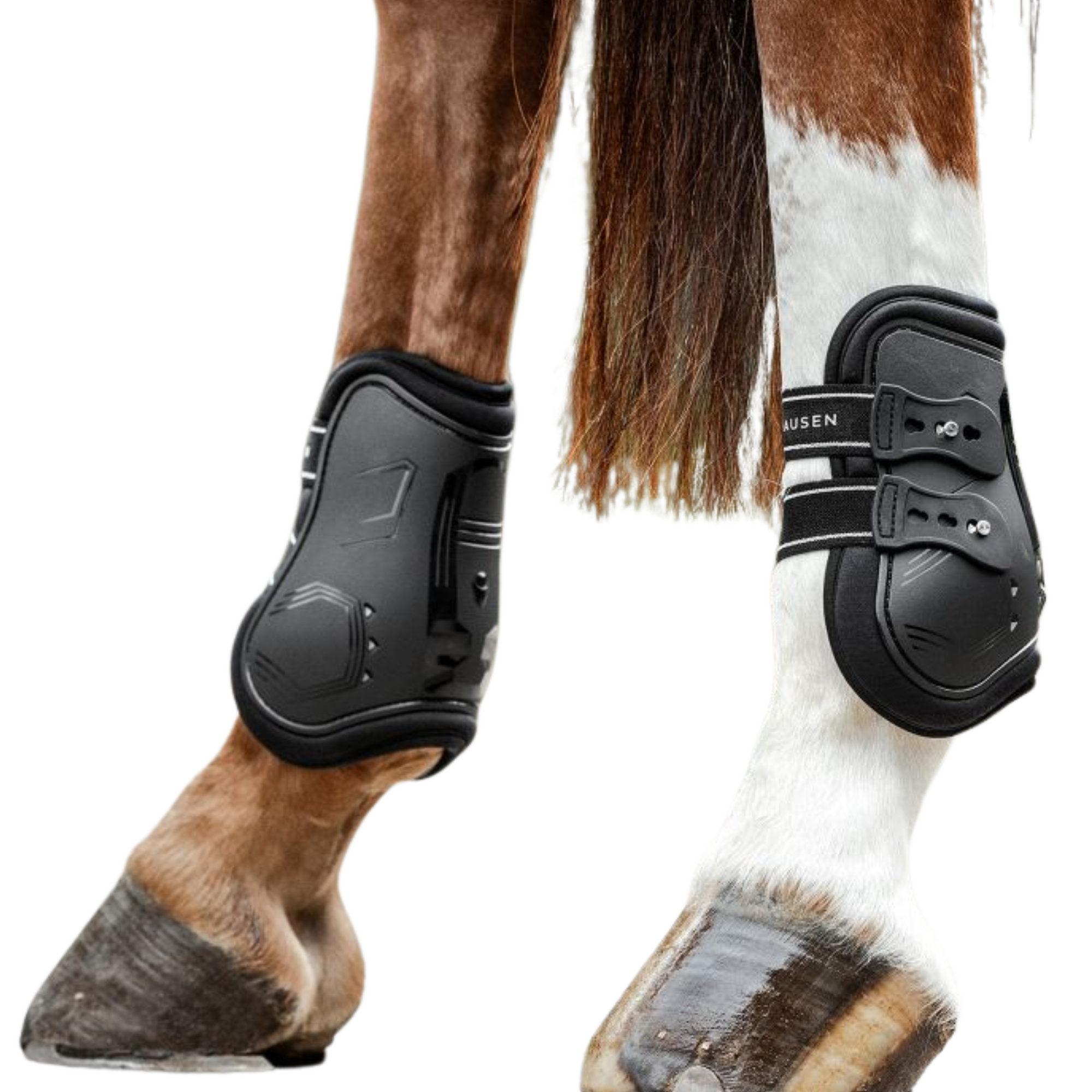 Waldhausen Memory Foam Pro Fetlock Boots