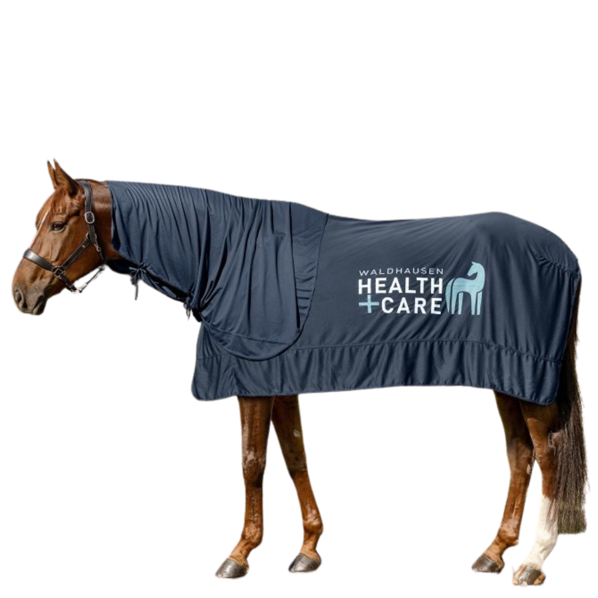 Waldhausen Ice Layer Cooling Neck Piece