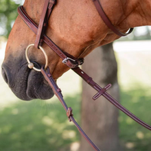 Load image into Gallery viewer, CWD Broad Rubber Grip Reins - Brown
