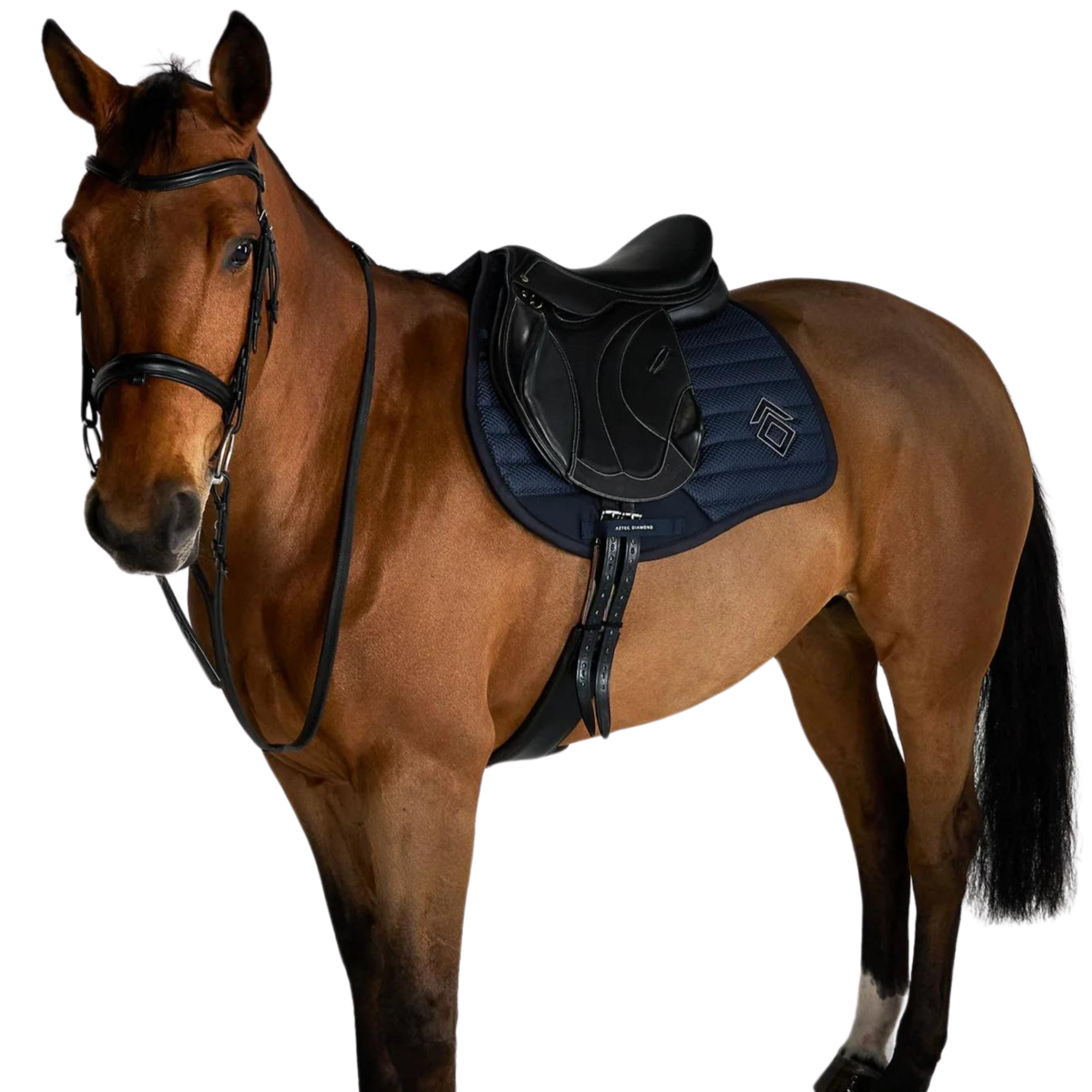 Aztec Diamond Mesh Jump Pad - Navy