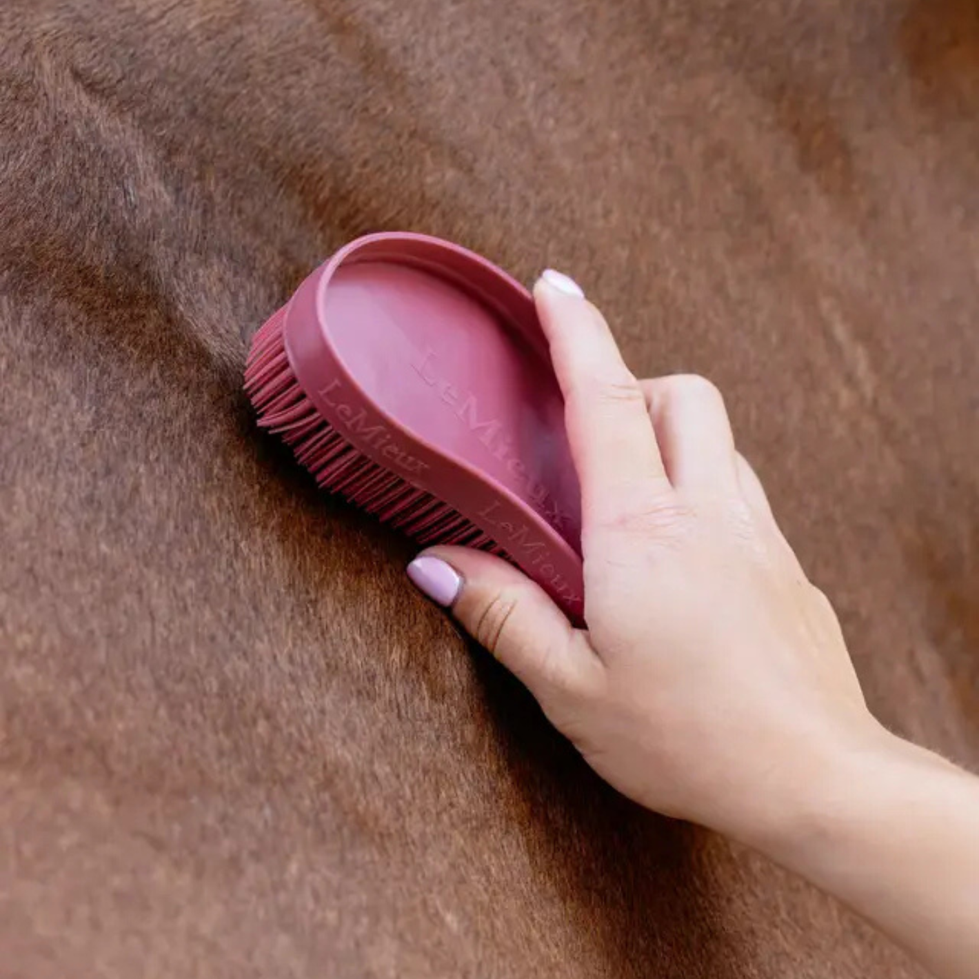 LeMieux Wizard Brush - Cranberry