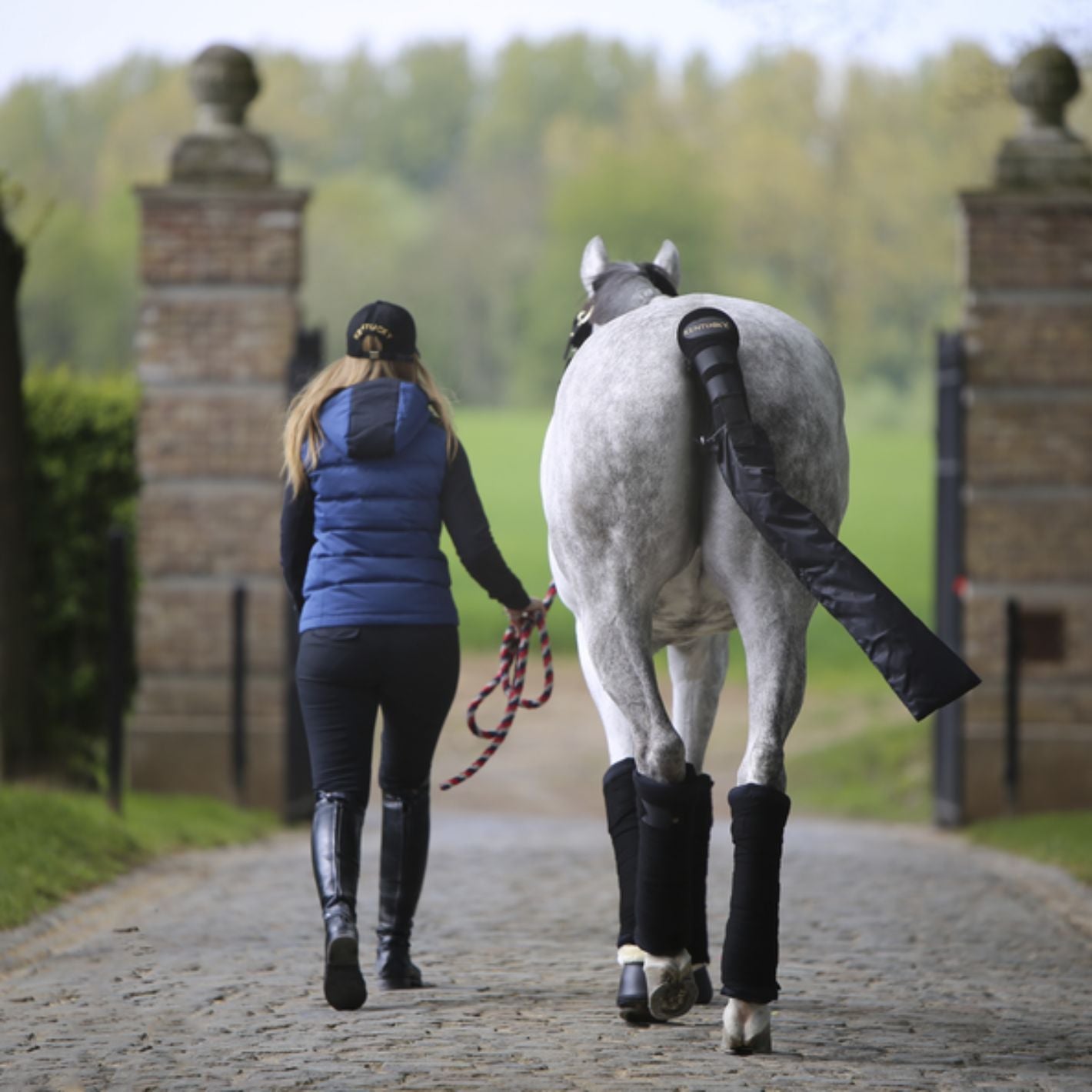 Kentucky Stable Bandage Pads - Black