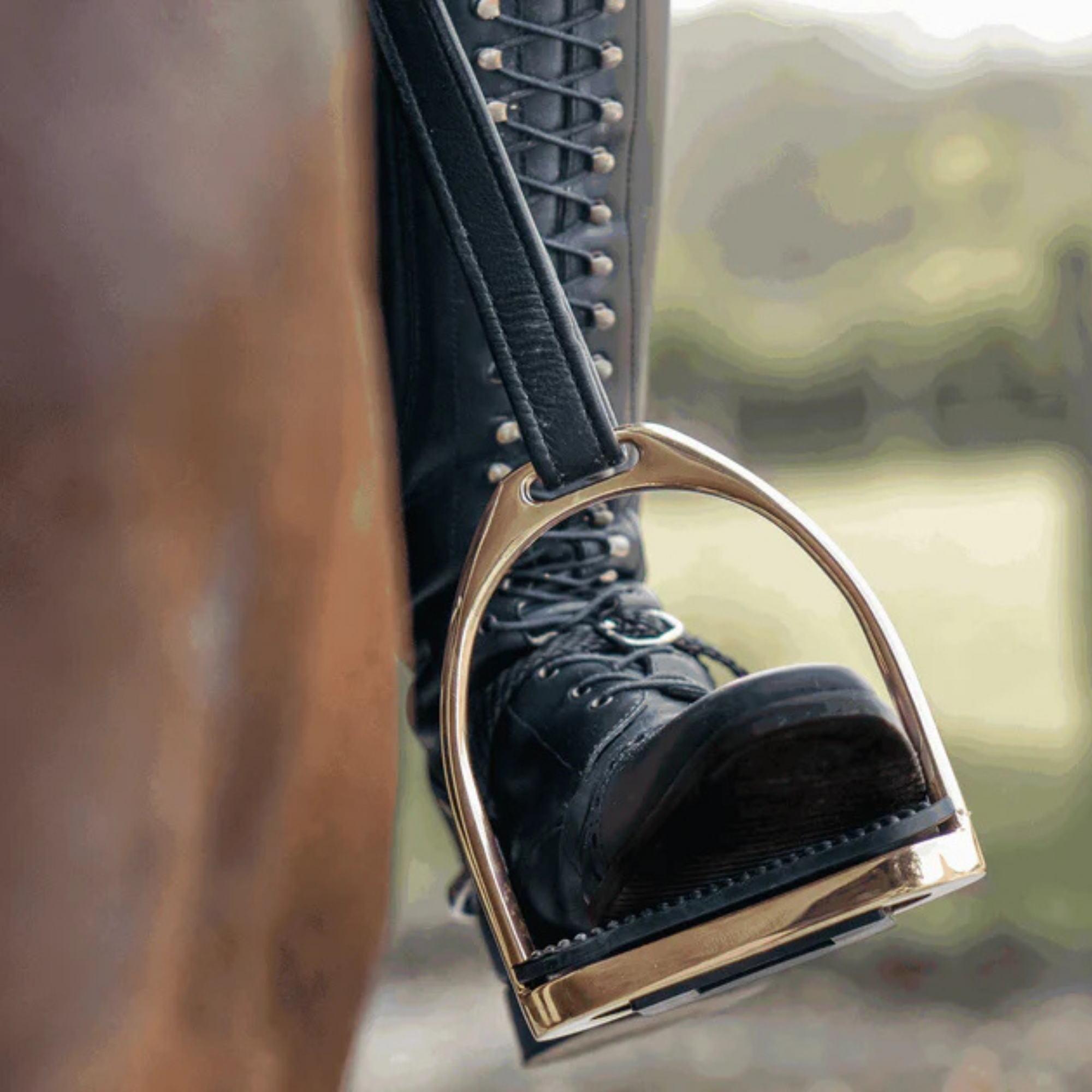 Sprenger Fillis Stirrups - Gold