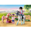 Playmobil Horse Farm Starter Pack