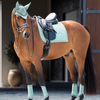 Equestrian Stockholm Dressage Pad - Modern Mint Green - COB
