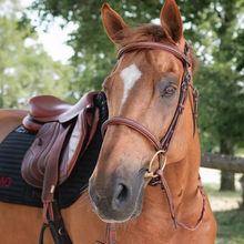 Load image into Gallery viewer, CWD Raised French Noseband Bridle - Brown
