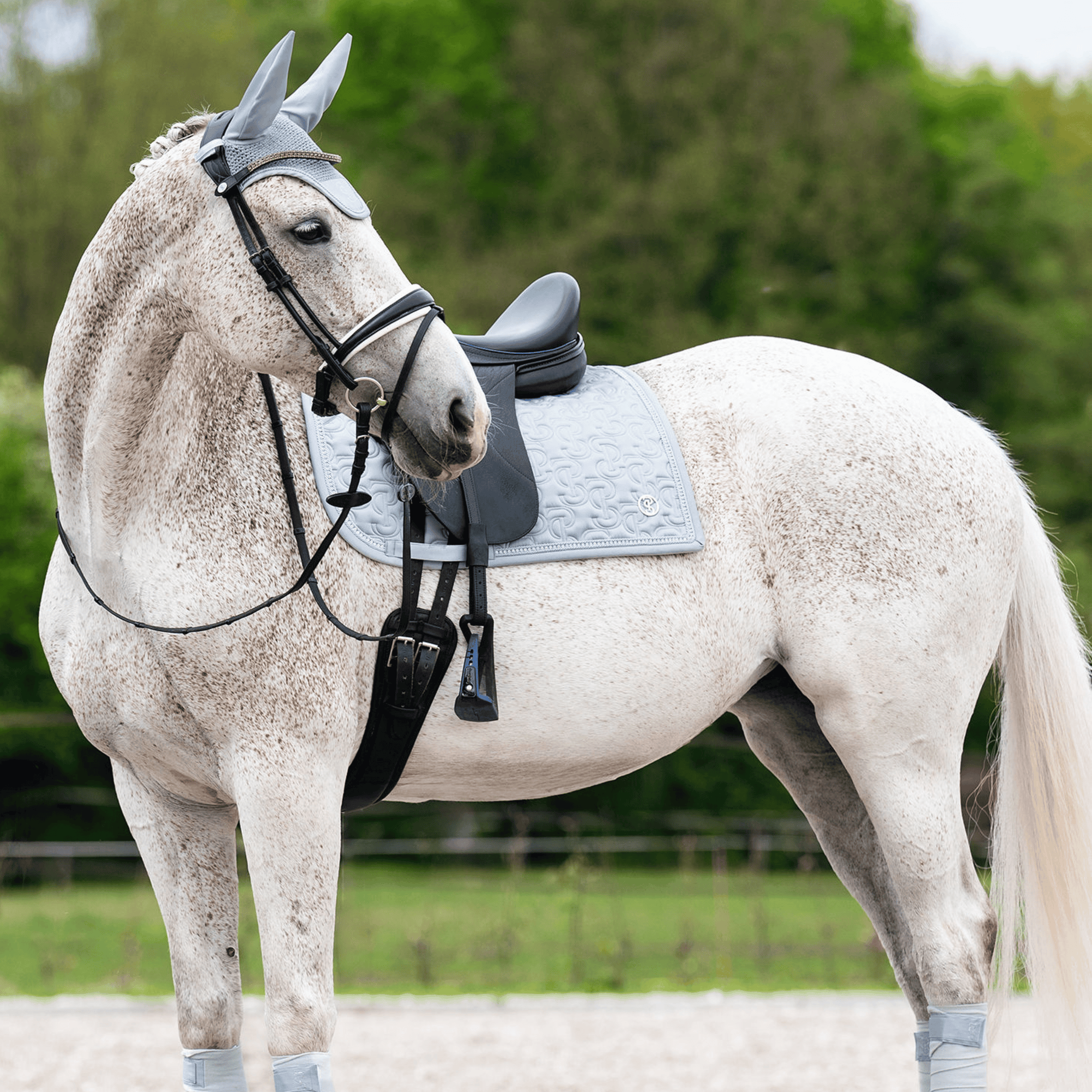 PS of Sweden Crystal Satin Dressage Pad - Blue Whisper