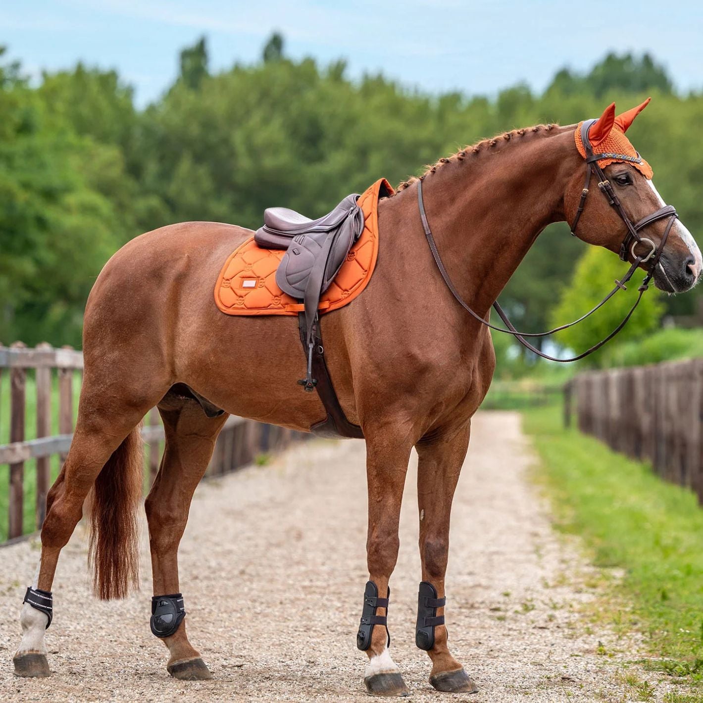 Equestrian Stockholm Satin Jump Pad - Chestnut