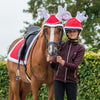 Reindeer Helmet Cover