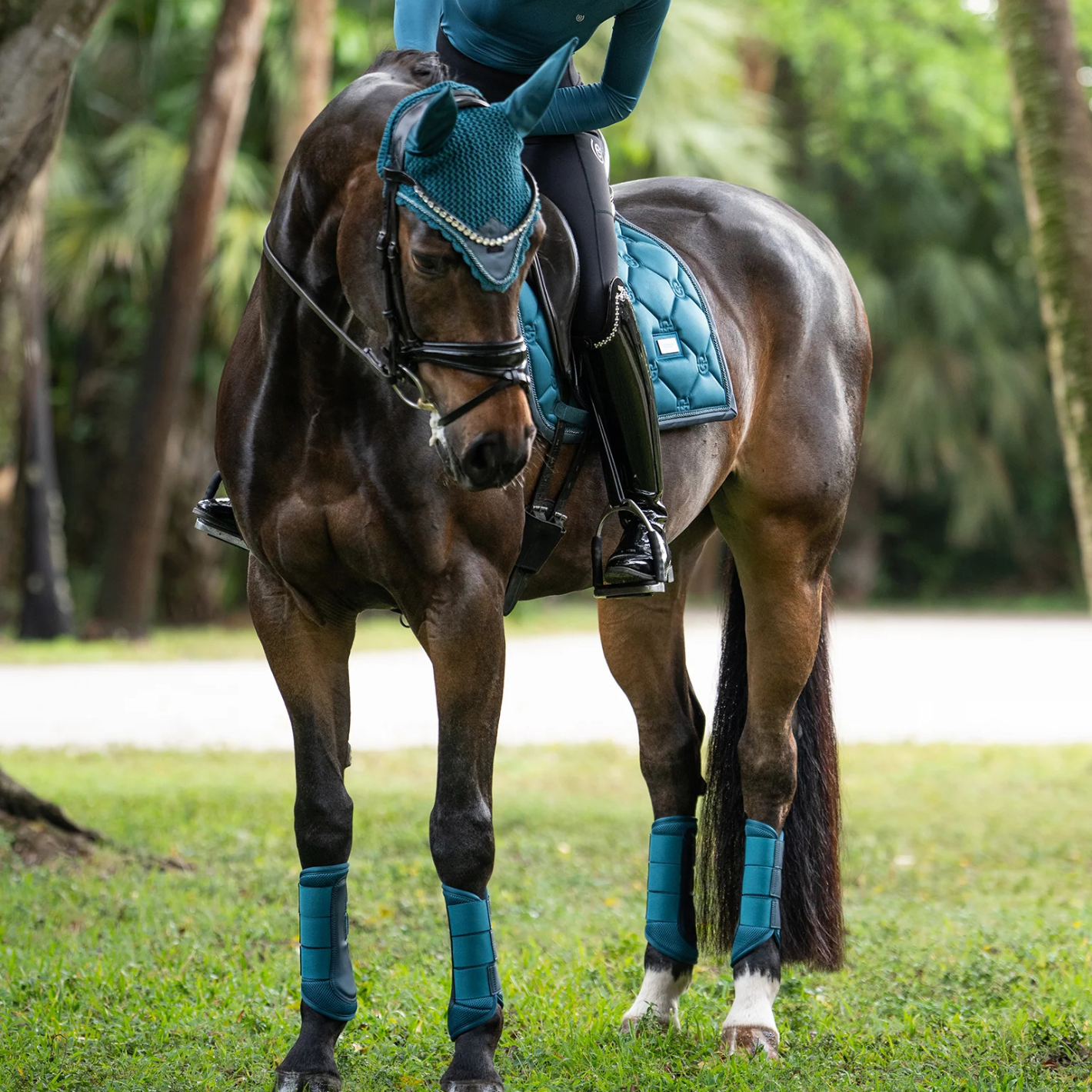 Equestrian Stockholm Ear Bonnet - Teal Blue
