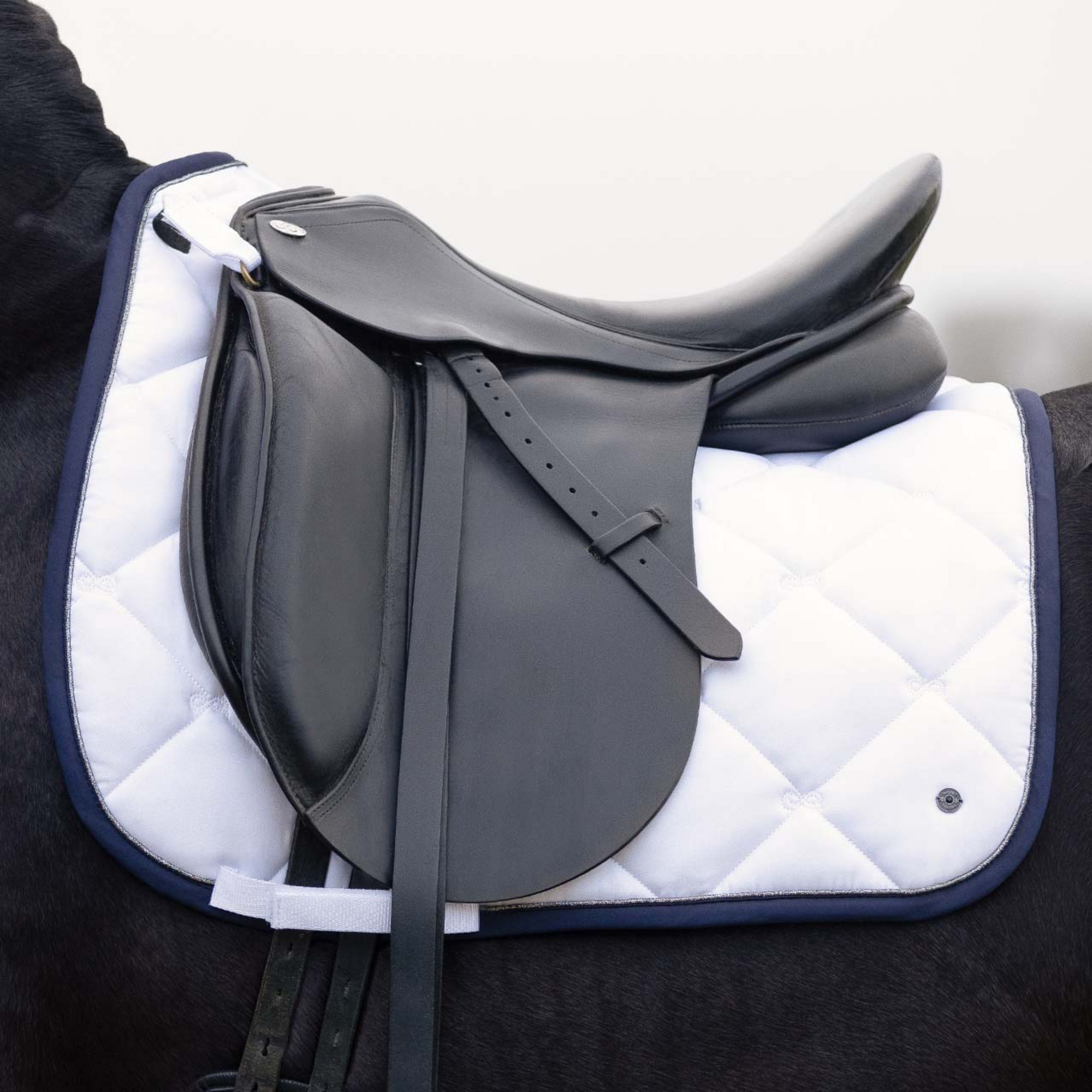 PresTeq Dressage Pad - White/Navy