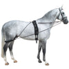 QHP Pessoa Lunge Training System