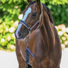 Tommy Hilfiger Yale Headcollar & Leadrope Set - Taupe